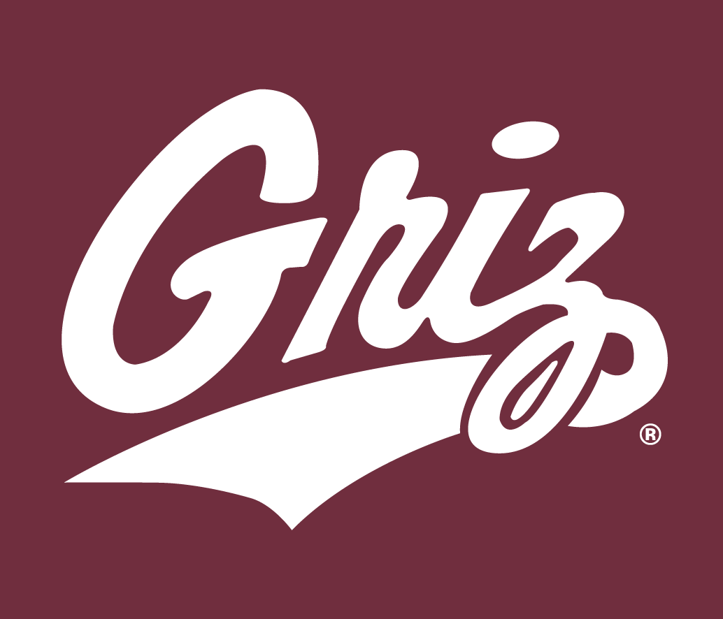 Montana Grizzlies 1996-Pres Alternate Logo v7 iron on transfers for T-shirts